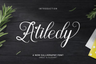 Atiledy Script: Elevate Your Visual Identity