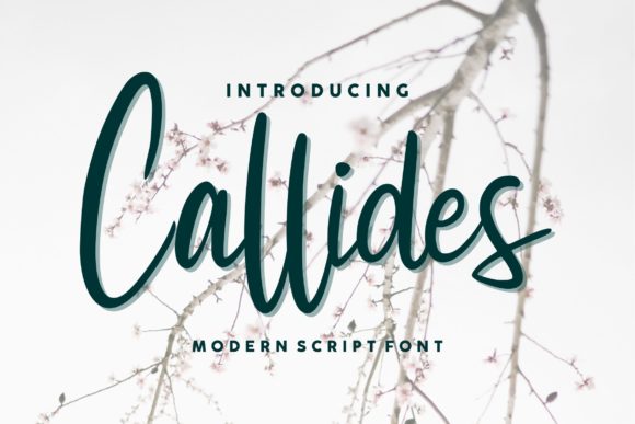 Callides Script: Elevating Design with Romantic Typography