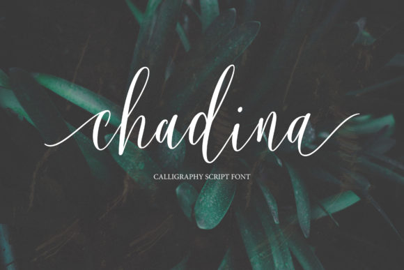 Chadina Script: A Romantic Font for Modern Design